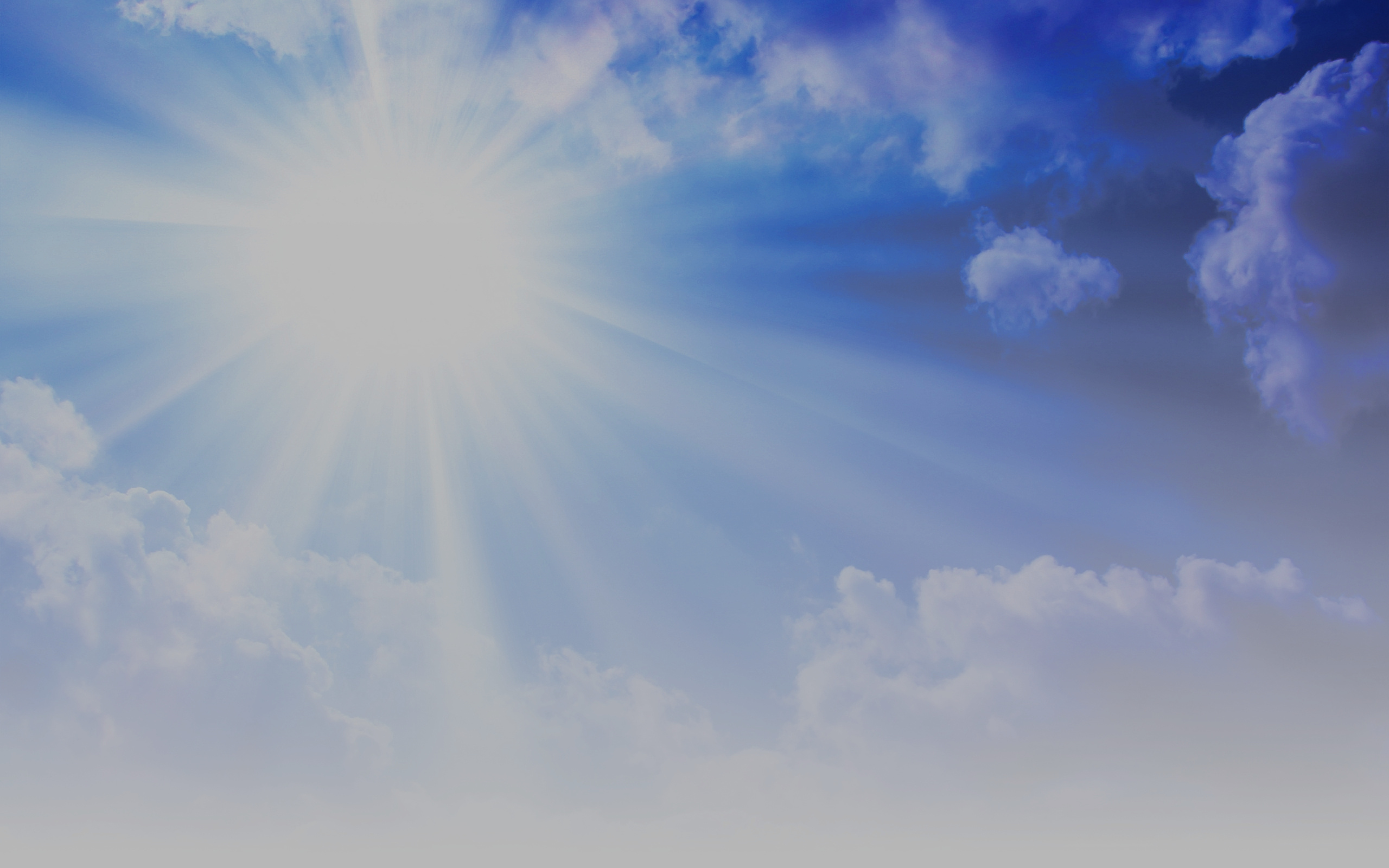 Pelouse Sante Inc photo 9