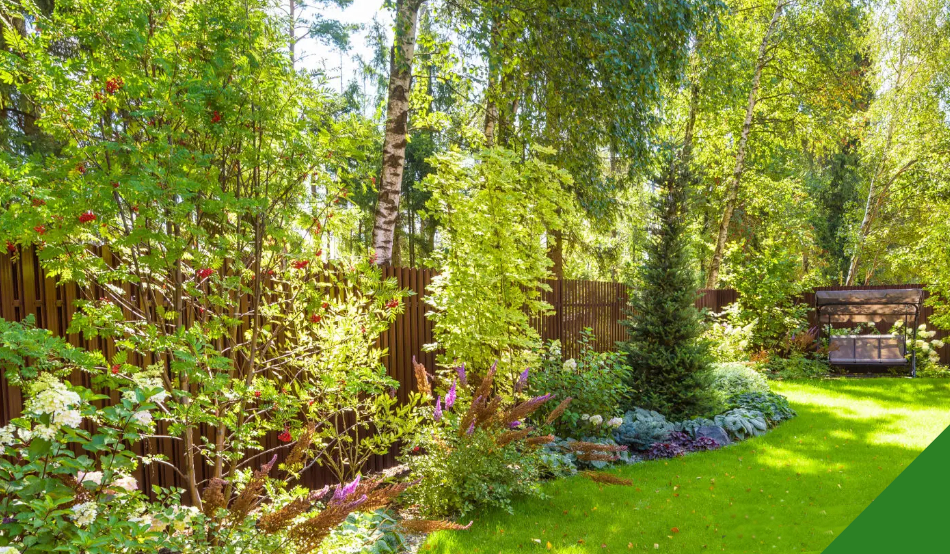 Service d'entretien arboricole (Arbres et arbustes)